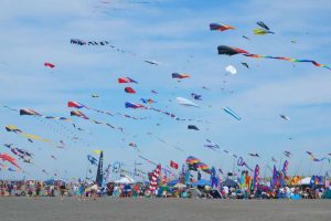 kite festival gujrat