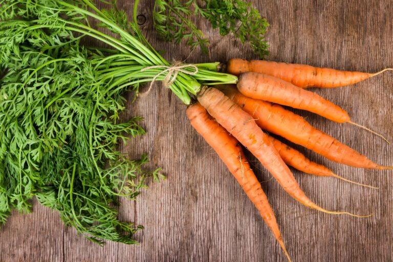 carrots leaves