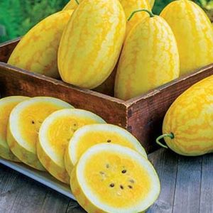 small-yellow-watermelon-Seeds-healthy-vegetable-Seeds_1