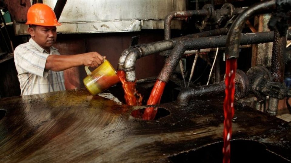 Middle class oil will run out! Oil prices rise in India as Indonesia shuts down palm oil exports