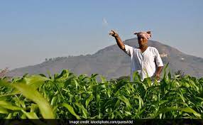 Good news for the country's farmers! Modi govt to increase fertilizer subsidy: Cabinet approves