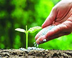 Good news for the country's farmers! Modi govt to increase fertilizer subsidy: Cabinet approves