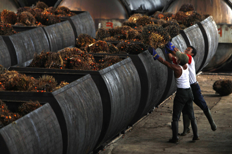 Middle class oil will run out! Oil prices rise in India as Indonesia shuts down palm oil exports