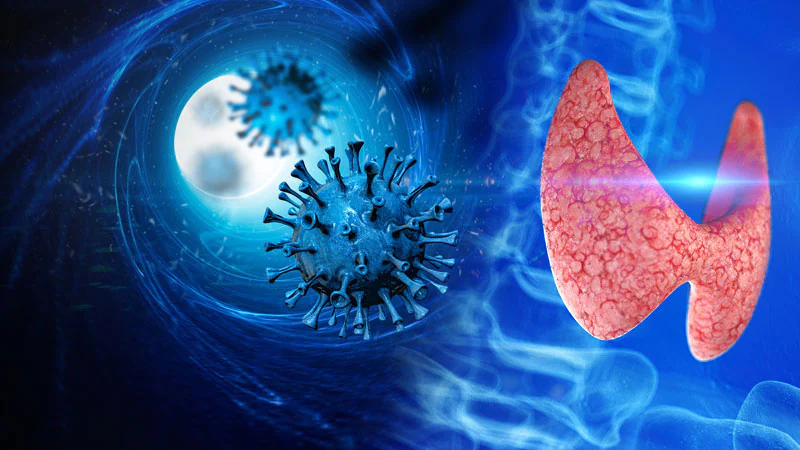 corona-study-reveals-the-virus-remains-in-the-thyroid-gland-even-after-being-negative