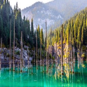 You have never seen such a lake ... The whole forest of uprooted trees has come inside the lake