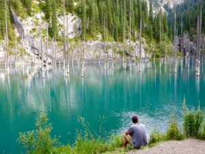 You have never seen such a lake ... The whole forest of uprooted trees has come inside the lake