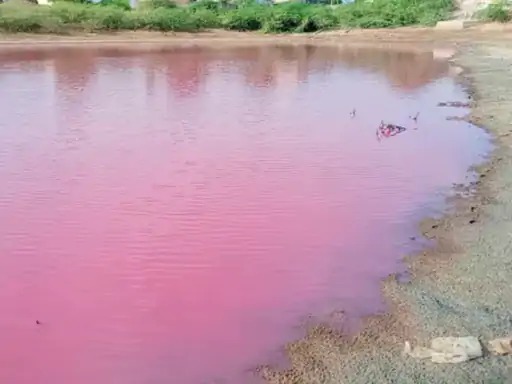 pink-water-in-vavna-koreti-lake-Suigam