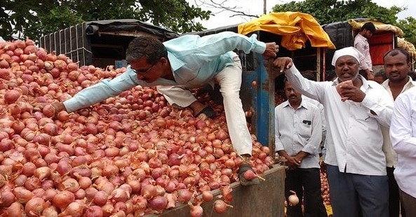 Good news for Saurashtra farmers: Time limit for onion subsidy extended