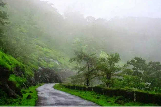 this-is-for-you-if-you-plan-to-go-for-a-walk-in-the-monsoon-learn-how-to-take-care