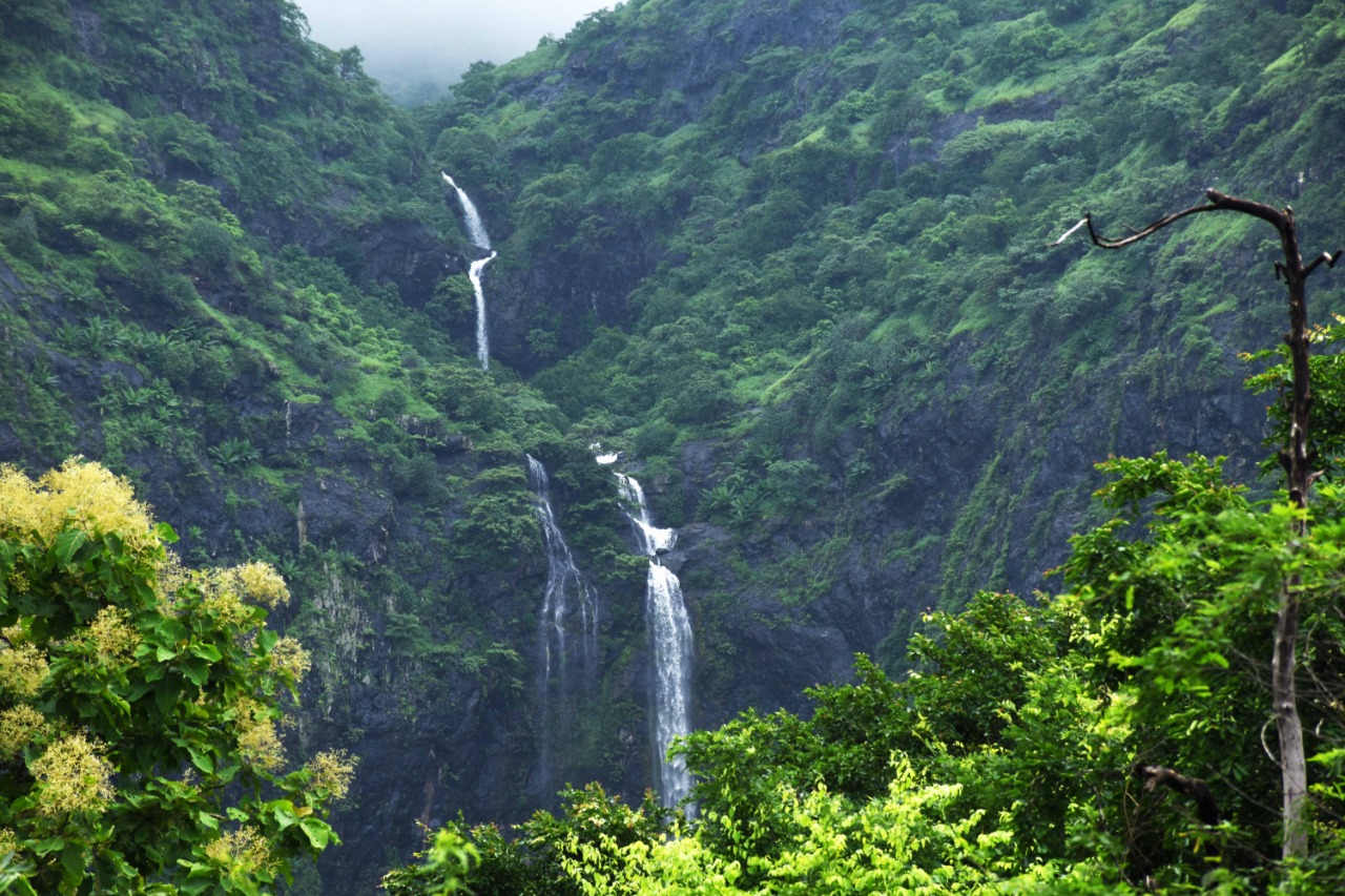 this-is-for-you-if-you-plan-to-go-for-a-walk-in-the-monsoon-learn-how-to-take-care