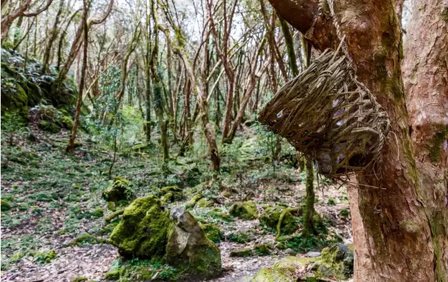 the-worlds-most-haunted-places-visit-at-your-own-risk