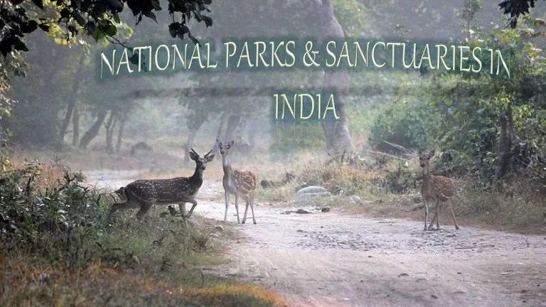 Supreme Court orders not to carry out any industrial activities around National Parks and Sanctuaries!