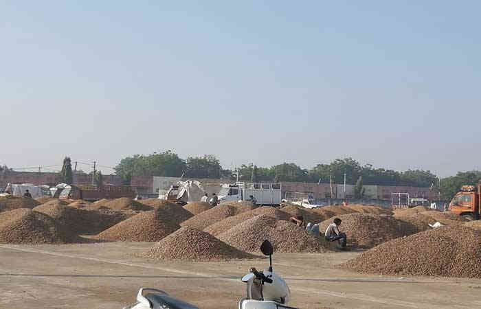 gondal-yard-is-the-first-in-the-state-to-earn-rs-23-61-crore