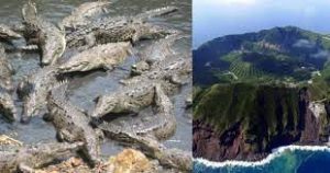 These spaces are famous for death! It is said that a person who goes here never returns