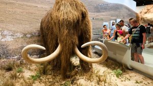 These strange beasts in the world that are due to their bodies are world famous