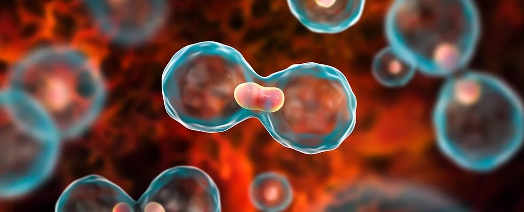 For the first time in history, patients became cancer free in a cancer drug trial!