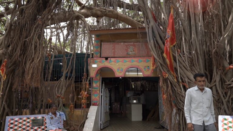 If you go to Gandhinagar, definitely visit this place Here the Vad tree is spread over two and a half branches