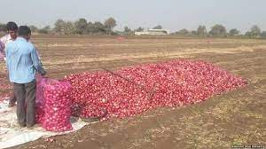 Good news for Saurashtra farmers: Time limit for onion subsidy extended