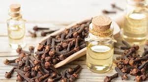 Clove water is a blessing for diabetics: Learn all about it