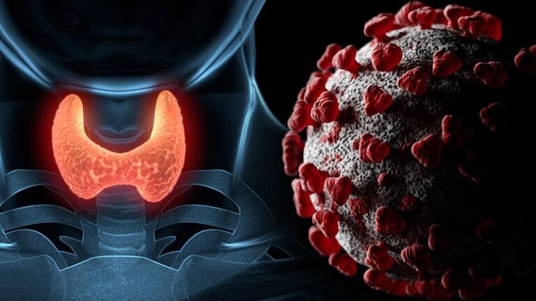 corona-study-reveals-the-virus-remains-in-the-thyroid-gland-even-after-being-negative