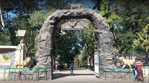 Special read if you want to go for lion watching in Gir