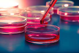 Talk of relief! Stem cell treatment at SSG Hospital in Vadodara will now cost only Rs 25,000