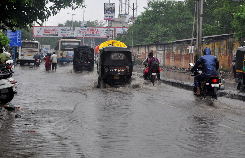 there-was-so-much-cloudburst-in-junagadh-that-the-king-of-the-forest-climbed-thousands-of-steps