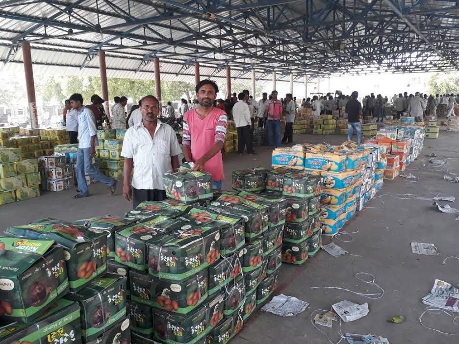 Carrie's season was just beginning and it was time to end it! Carrie's income from Talala fell