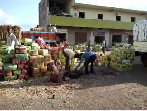 Carrie's season was just beginning and it was time to end it! Carrie's income from Talala fell