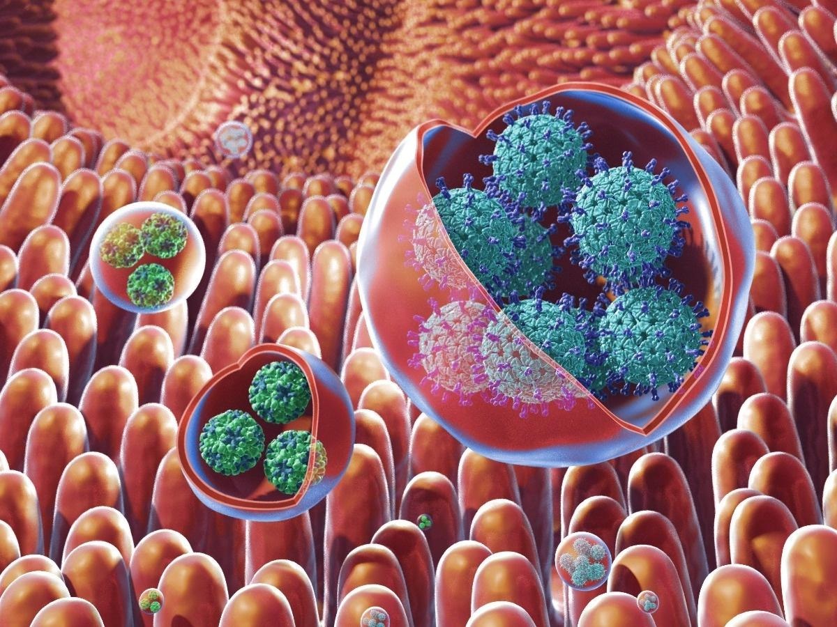 Corona, one more virus entry after monkeypox! Symptoms of the new virus were found in two children in Kerala