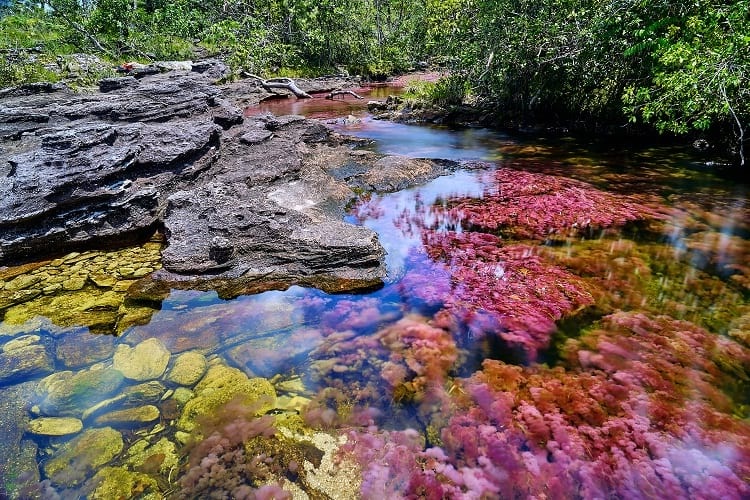 These pictures, which seem wrong at first glance, are a fact: water of five colors flows in one river