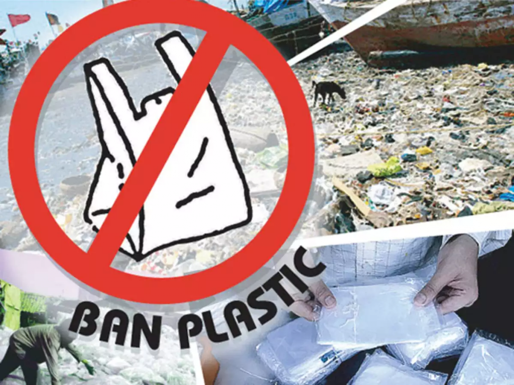 Now you can't use these plastic items: the government has imposed a ban on single use plastic