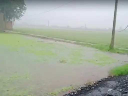 Megharaja showering blessings on Porbandar and Rajkot districts! Heavy rains flooded the fields