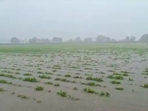 Megharaja showering blessings on Porbandar and Rajkot districts! Heavy rains flooded the fields