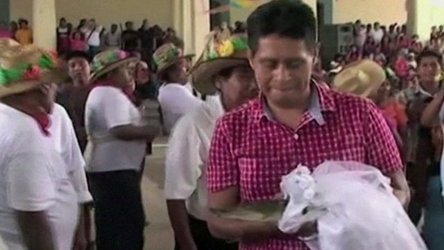 a-unique-wedding-the-mayor-of-mexico-married-a-crocodile-the-reason-is-strange