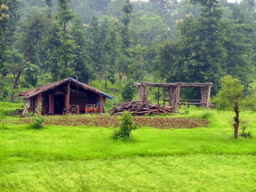 in-the-rain-dang-district-flourished-with-sixteen-arts-waterfalls-come-alive-see-the-beauty-of-nature-in-the-photos