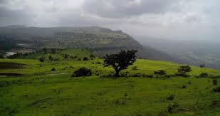 in-the-rain-dang-district-flourished-with-sixteen-arts-waterfalls-come-alive-see-the-beauty-of-nature-in-the-photos