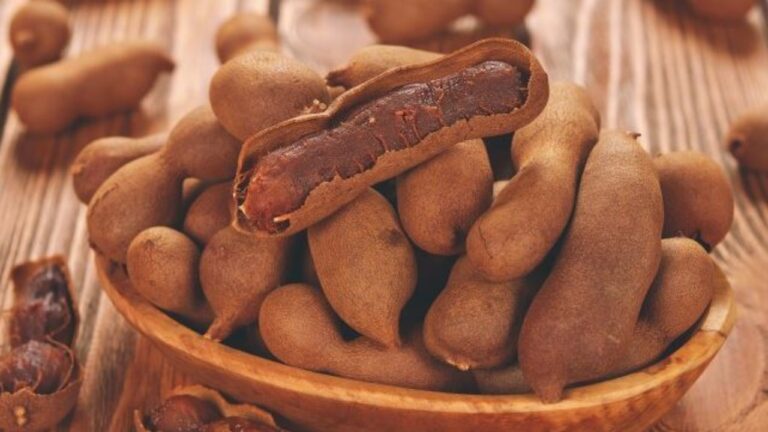 interesting-facts-and-benefits-of-tamarind-about-in-gujarati