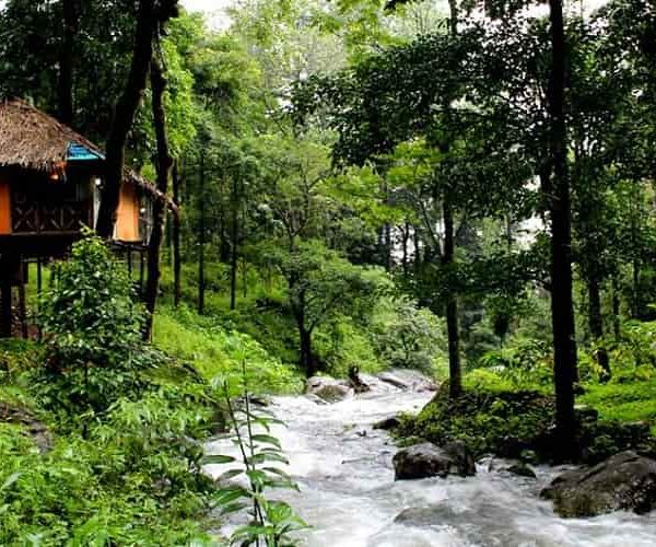 once-in-the-monsoon-go-for-a-walk-in-this-place-and-you-will-be-fascinated-by-the-beauty