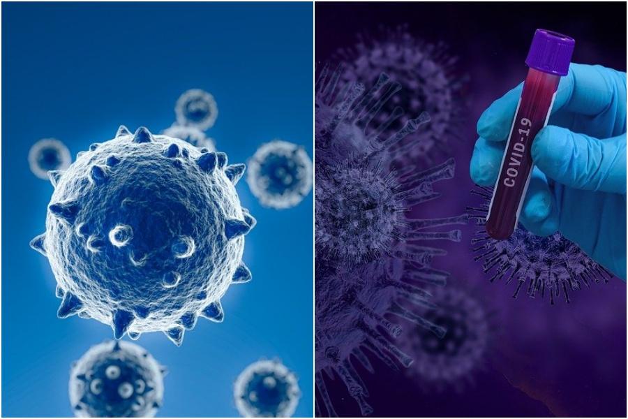 dont-be-careless-who-gave-this-big-warning-about-corona