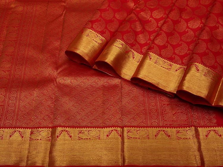 avoid-wearing-this-type-of-clothing-during-the-rainy-season-otherwise-a-problem-may-occur