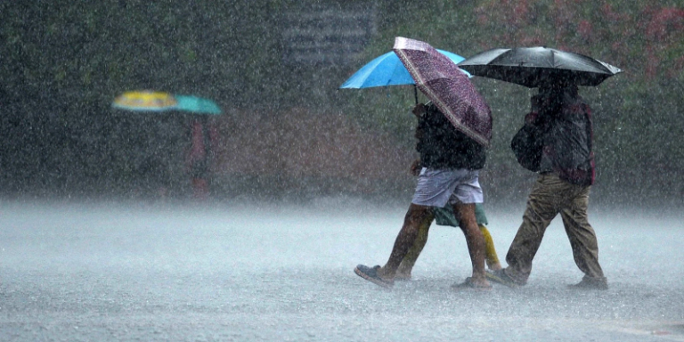 south-gujarat-rain-forecast-meteorological-department-heavy-to-heavy-rain
