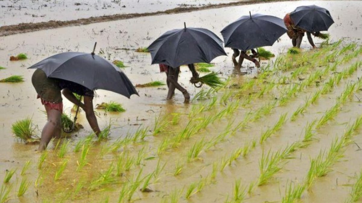 aravalli-and-sabarkantha-of-north-gujarat-rainy-conditions