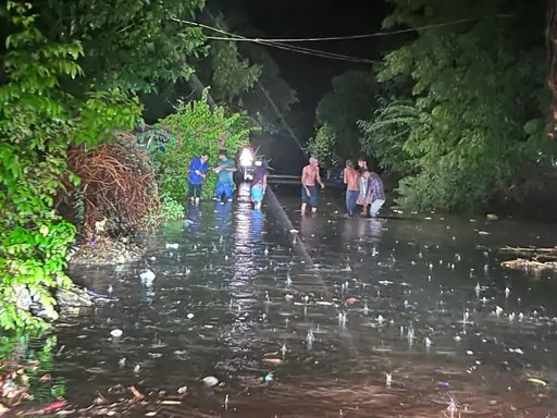 Many clouds fell in Borsad of Anand! Eleven inches of rain fell in four hours