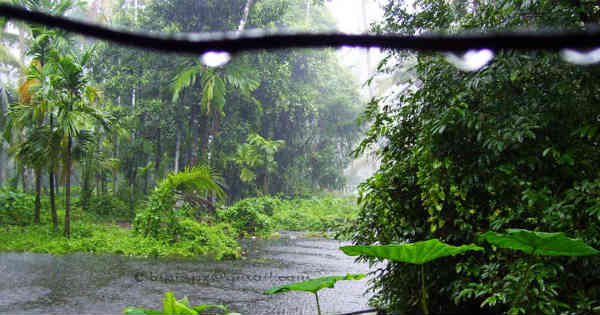 these-spaces-are-the-best-for-a-romantic-trip-in-the-monsoon-the-cost-is-also-very-low