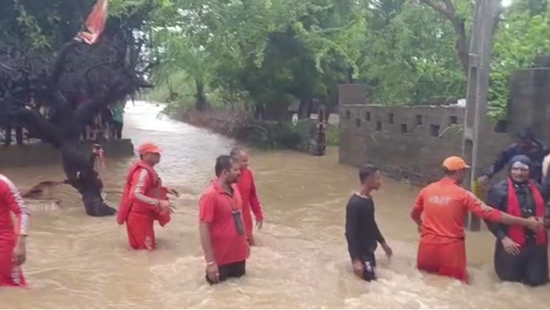 scenes-never-seen-in-kutch-80-of-the-seasons-rain-fell
