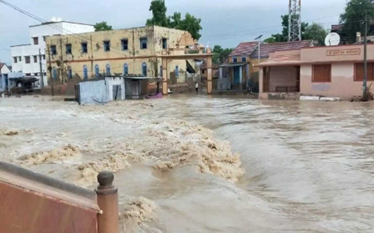 scenes-never-seen-in-kutch-80-of-the-seasons-rain-fell