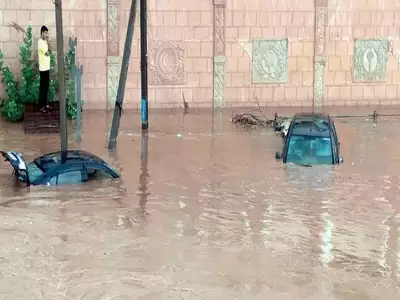 scenes-never-seen-in-kutch-80-of-the-seasons-rain-fell