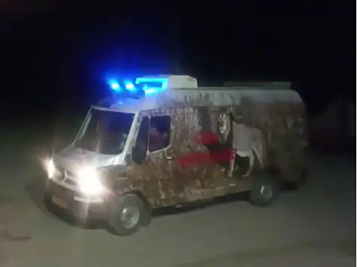 amreli-district-the-terrorizing-lioness-was-finally-caged