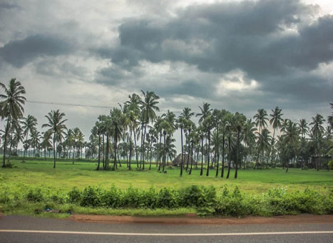 these-spaces-are-the-best-for-a-romantic-trip-in-the-monsoon-the-cost-is-also-very-low